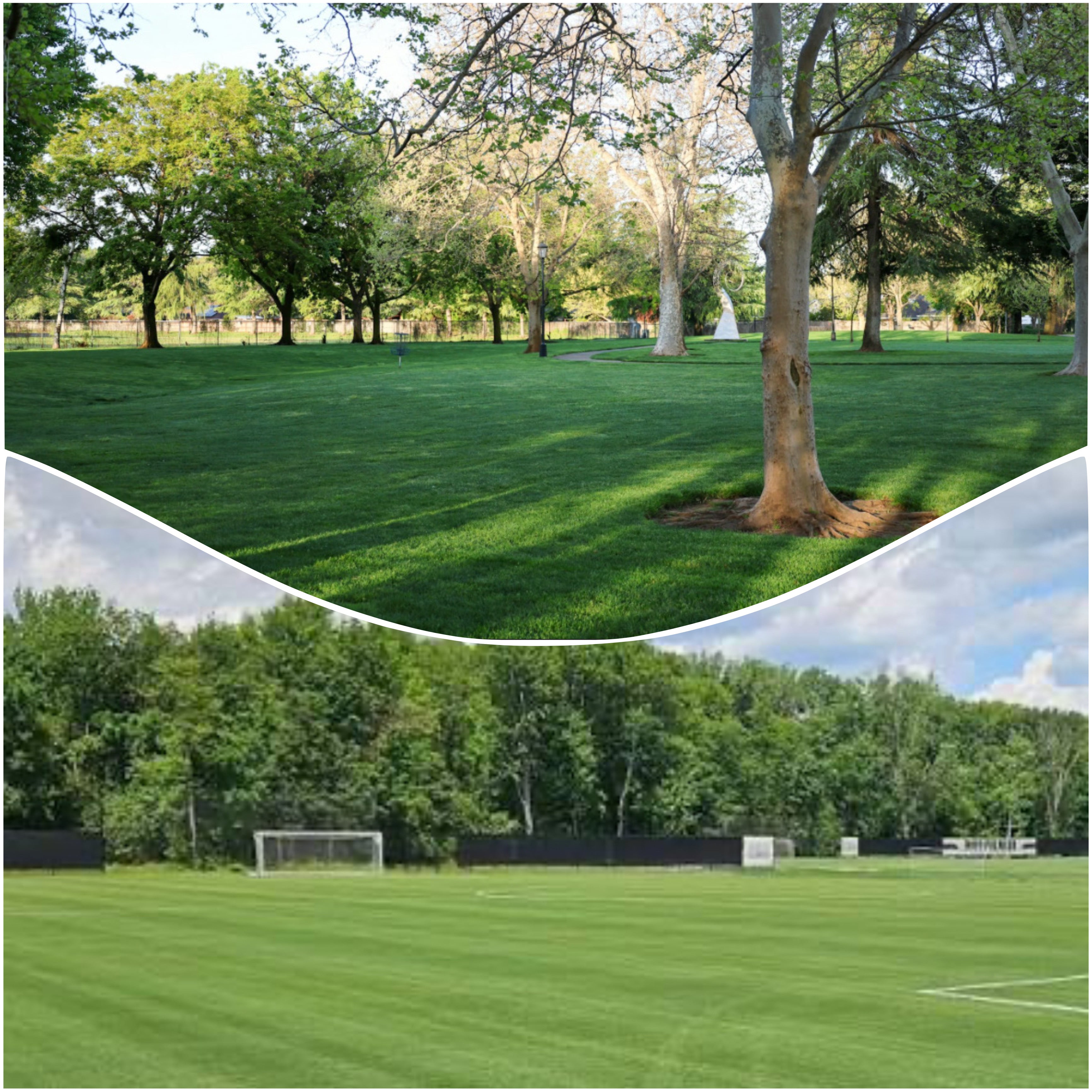 Park / Field Training